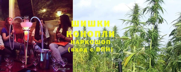 тгк Арсеньев