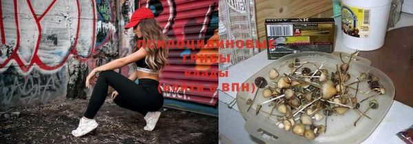 герыч Аркадак