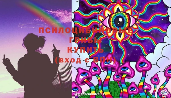 тгк Арсеньев